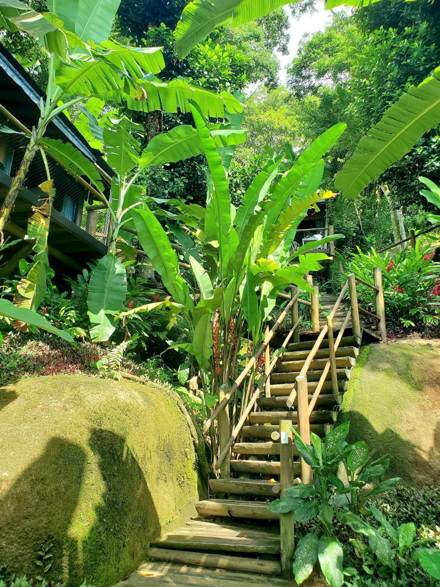 Chales Paris Paraty Bagian luar foto
